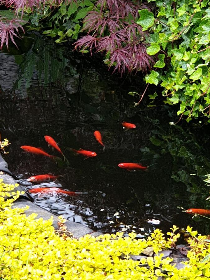 Tropical Garden Oasis Rooms Birmingham Dış mekan fotoğraf