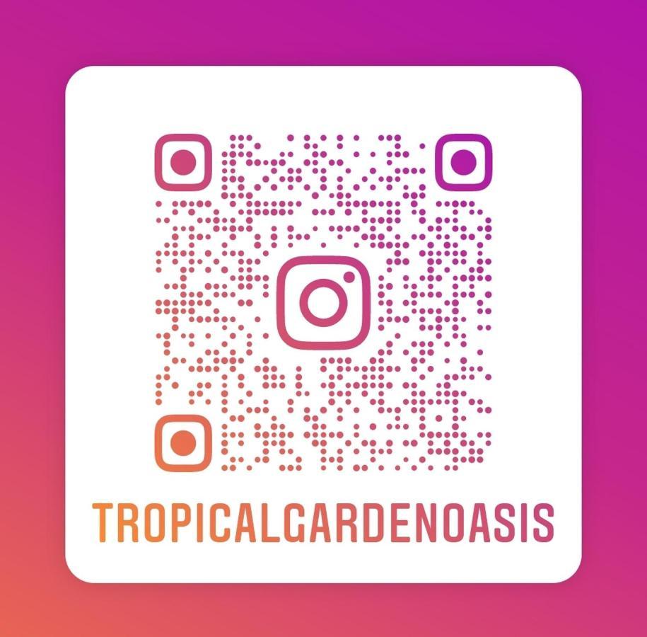 Tropical Garden Oasis Rooms Birmingham Dış mekan fotoğraf