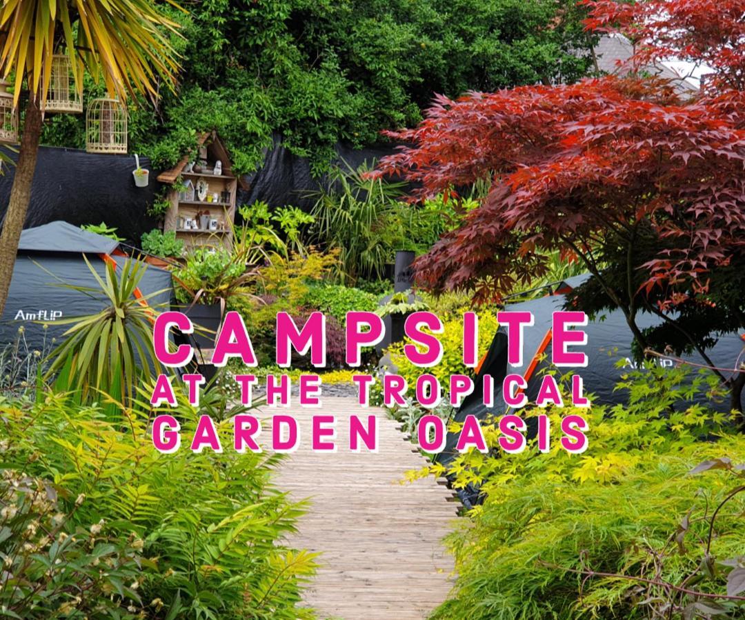 Tropical Garden Oasis Rooms Birmingham Oda fotoğraf